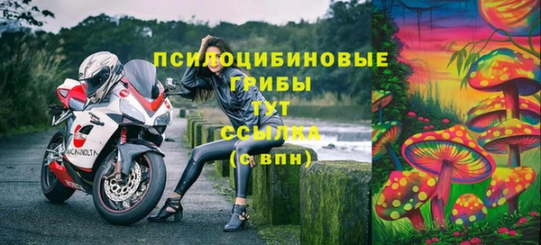 таблы Алексин